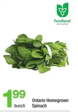 Highland Farms Ontario Homegrown Spinach offer