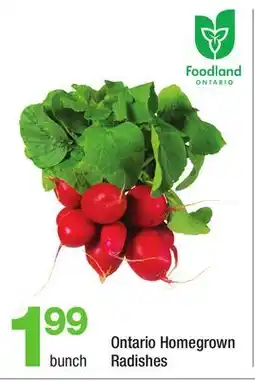 Highland Farms Ontario Homegrown Radishes offer