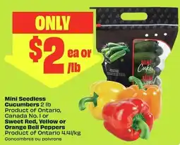 FreshCo Mini Seedless Cucumbers offer
