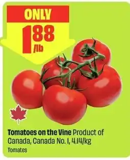FreshCo Tomatoes on the Vine offer
