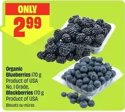 FreshCo Organic blueberries, blackberries offer