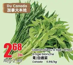 Btrust Supermarket Liseron d'eau à tige verte / à tige blanche offer