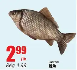 Btrust Supermarket Carpe offer