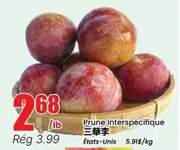 Btrust Supermarket Prune Interspécifique offer