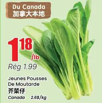 Btrust Supermarket Jeunes Pousses De Moutarde offer