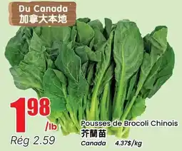Btrust Supermarket Pousses de Brocoli Chinois offer