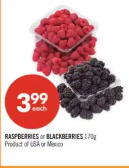 Shoppers Drug Mart RASPBERRIES or BLACKBERRIES offer
