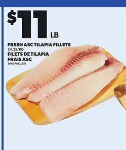 Independent City Market FRESH ASC TILAPIA FILLETS offer