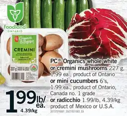 Fortinos PC ORGANICS WHOLE WHITE OR CREMINI MUSHROOMS, 227 G OR MINI CUCUMBERS, 6'S OR RADICCHIO offer