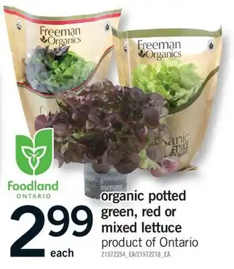 Fortinos ORGANIC POTTED GREEN, RED OR MIXED LETTUCE offer