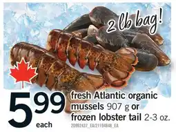 Fortinos FRESH ATLANTIC ORGANIC MUSSELS 907 G OR FROZEN LOBSTER TAIL 2-3 OZ offer