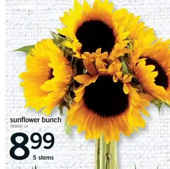 Fortinos SUNFLOWER BUNCH, 5 STEMS offer