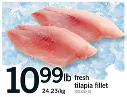 Fortinos FRESH TILAPIA FILLET offer