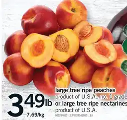 Fortinos LARGE TREE RIPE PEACHES OR LARGE TREE RIPE NECTARINES offer
