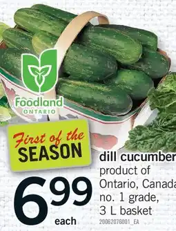 Fortinos DILL CUCUMBER, 3 L basket offer