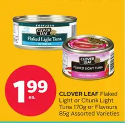 Rexall Flaked Light or Chunk Light Tuna 170g or Flavours 85g offer
