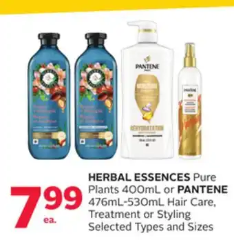 Rexall HERBAL ESSENCES Pure Plants 400mL or PANTENE 476mL-530mL Hair Care, Treatment or Styling offer