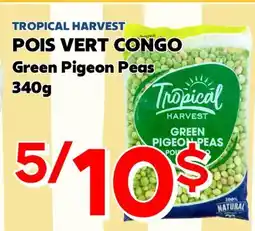 Marche Salaberry POIS VERT CONGO TROPICAL HARVEST offer