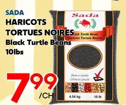 Marche Salaberry SADA HARICOTS TORTUES NOIRES offer