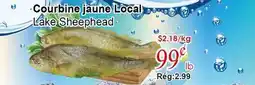 Marche C&T Lake Sheephead offer
