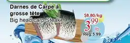 Marche C&T Darnes de Carpe à grosse tête offer