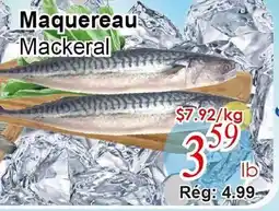 Marche C&T Maquereau offer