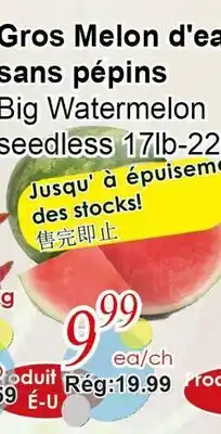 Marche C&T Big Watermelon seedless offer