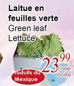 Marche C&T Green leaf Lettuce offer