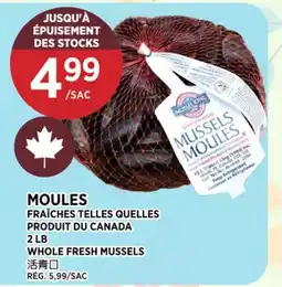 Kim Phat WHOLE FRESH MUSSELS offer