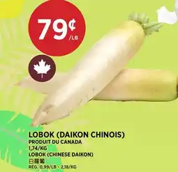 Kim Phat LOBOK (DAIKON CHINOIS) offer