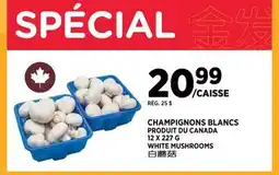 Kim Phat WHITE MUSHROOMS offer