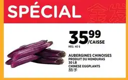 Kim Phat CHINESE EGGPLANTS offer