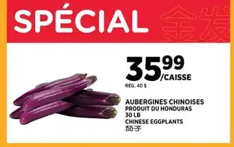 Kim Phat CHINESE EGGPLANTS offer