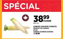 Kim Phat LOBOKS (CHINESE DAIKON) offer