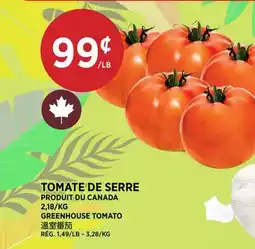 Kim Phat GREENHOUSE TOMATO offer