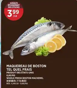 Kim Phat WHOLE FRESH BOSTON MACKEREL offer