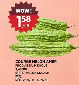 Kim Phat BITTER MELON SQUASH offer