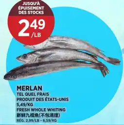 Kim Phat FRESH WHOLE WHITING offer