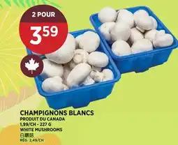 Kim Phat WHITE MUSHROOMS offer
