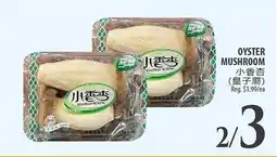 Al Premium Food Mart OYSTER MUSHROOM offer