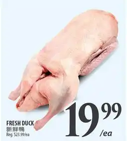 Al Premium Food Mart FRESH DUCK offer