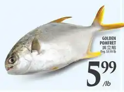 Al Premium Food Mart GOLDEN POMFRET offer