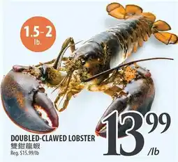 Al Premium Food Mart DOUBLED-CLAWED LOBSTER offer