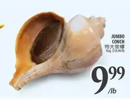 Al Premium Food Mart JUMBO CONCH offer