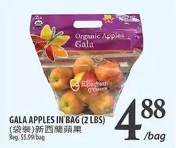 Al Premium Food Mart GALA APPLES IN BAG (2 LBS) offer