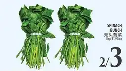 Al Premium Food Mart SPINACH BUNCH offer