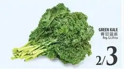 Al Premium Food Mart GREEN KALE offer