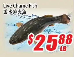 WinCo Food Mart Live Chame Fish offer