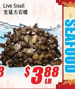 WinCo Food Mart Live Snail offer