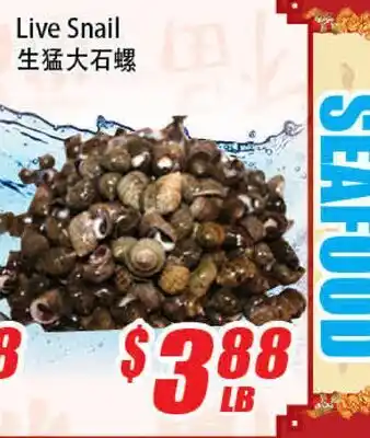 WinCo Food Mart Live Snail offer